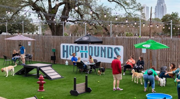 Order A Pint While You Play With Puppies At This Alabama Dog Park