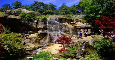 Virginia's Most Easily Accessible Waterfall Is Hiding In Plain Sight At The Maymont Japanese Garden