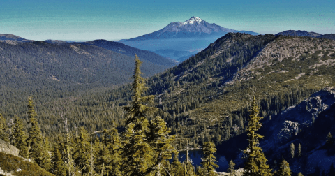 8 Easy And Beautiful Spring Hikes Everyone In Northern California Will Love