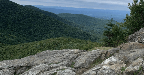 8 Easy And Beautiful Spring Hikes Everyone In Vermont Will Love