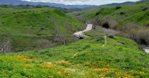 8 Easy And Beautiful Spring Hikes Everyone In Southern California Will Love