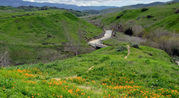 8 Easy And Beautiful Spring Hikes Everyone In Southern California Will Love
