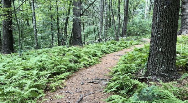 After A Hike On Rhode Island’s Powder Mill Ledges Trail, Board A Rail Explorer For A Memorable Adventure
