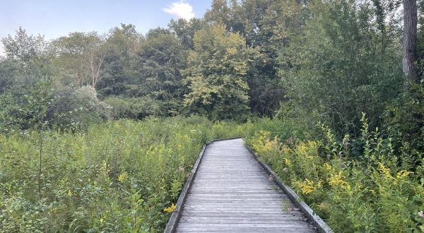 8 Secret Spots In Metro Detroit Where Nature Will Completely Relax You
