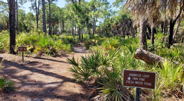 The Easy 3-Mile Caladesi Island Trail Will Lead You Around An Enchanting Florida Island