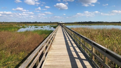 This Beautiful Boardwalk Trail In Texas Offers A Peaceful Escape Without Leaving City Limits