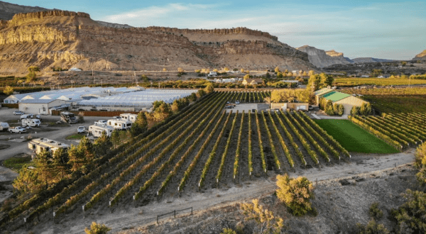 You Can Camp Overnight At This Peach Orchard In Colorado