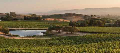 Six Generations Of A Northern California Family Have Owned And Operated The Legendary Gundlach Bundschu Winery