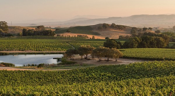 Six Generations Of A Northern California Family Have Owned And Operated The Legendary Gundlach Bundschu Winery