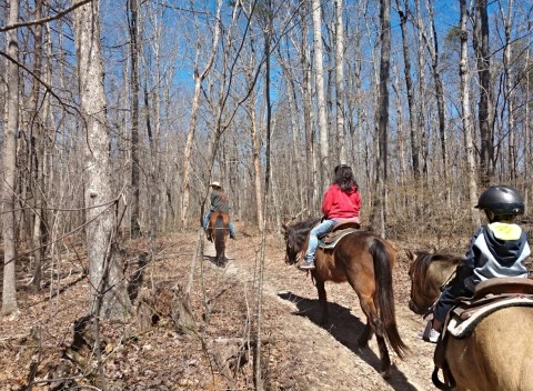 Visit DeSoto Falls By Horseback On This Unique Tour In Alabama