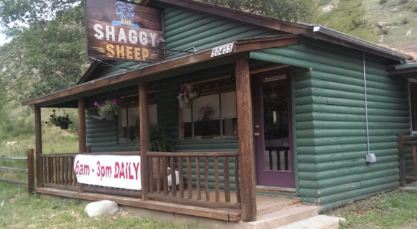 The Shaggy Sheep In Colorado May Be Casual, But The Food Is Outstanding