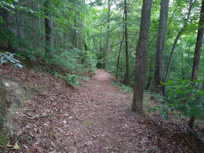 The Easy 1.7-Mile Stuart’s Knob Trail Will Lead You Through The Virginia Woods
