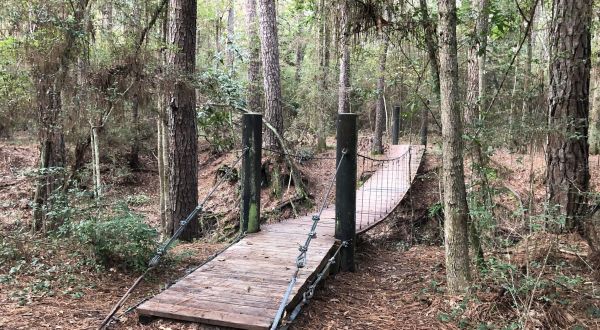 The Bridge To Nowhere In The Middle Of The Texas Woods Will Capture Your Imagination