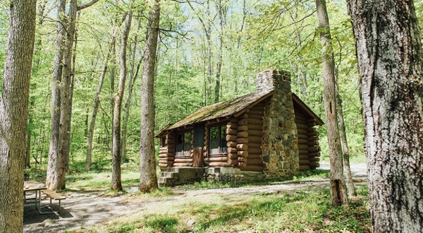 There’s A Cabin Hiding In A New Jersey Forest Where You Can Camp Year-Round