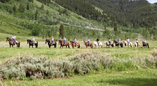 This Quaint Horseback Ride Through Wyoming’s Forest Is A Magnificent Way To Take It All In