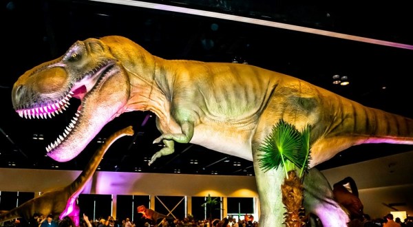 A Dino & Dragon Stroll Is Coming To Maryland And It Looks Like A Roaring Good Time