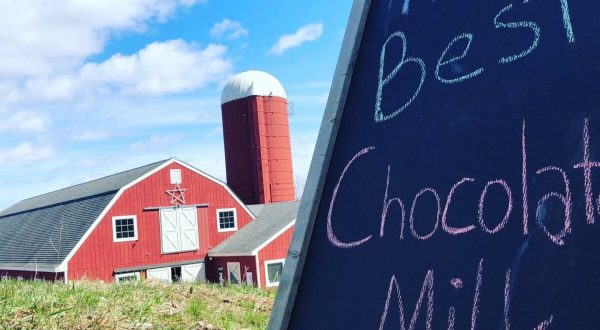 Take A Sunday Drive, Stop For Milk And Cheese, And Play With Cats At Deerfield Farm In Connecticut