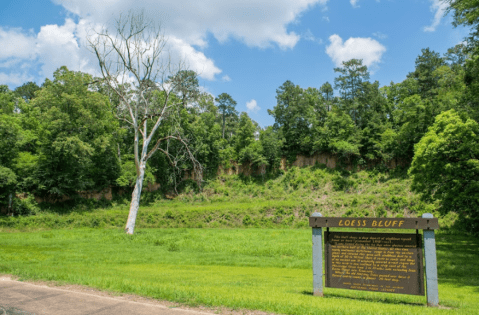 Hidden In Adams County, Mississippi, Loess Bluff Is A Less Traveled Geologic Formation Worth Exploring