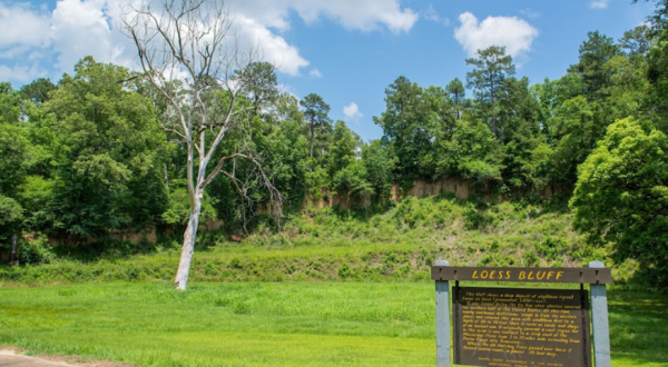 Hidden In Adams County, Mississippi, Loess Bluff Is A Less Traveled Geologic Formation Worth Exploring