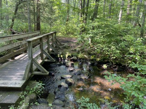 The 4.7-Mile Steere Hill & Heritage Park Loop Trail In Rhode Island Is Full Of Jaw-Dropping Natural Pools