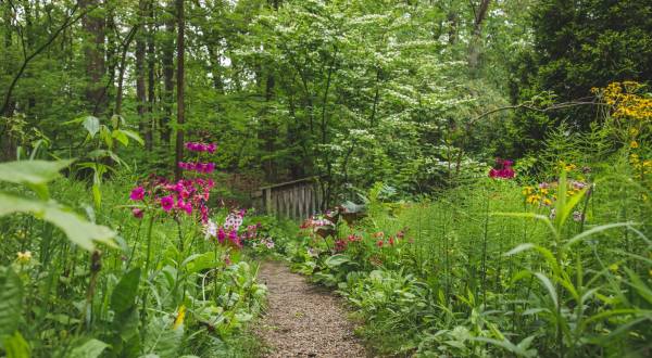 Follow The Trails At Fernwood Botanical Garden In Michigan For A Truly Magical Spring Season