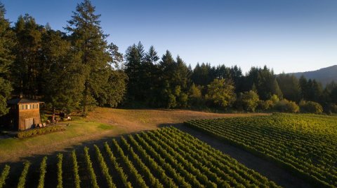Spend The Night In A Luxurious Guest House Located On One Of Oregon's Most Beautiful Wineries