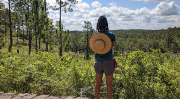 Take A Hike To A Louisiana Viewpoint That’s Like Being On Top Of The World