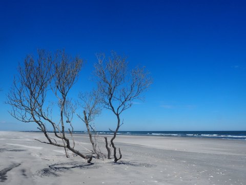 The Little-Known Beach In New Jersey You Can Only Visit By Hiking This 5.8-Mile Trail