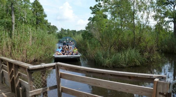 This Summer, Take On A Swamp Boat Tour For The Ultimate Mississippi Day Trip