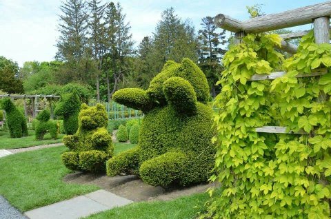There Are Giant Animals Hiding At Green Animals Topiary Garden In Rhode Island Just Like Something Out Of A Storybook