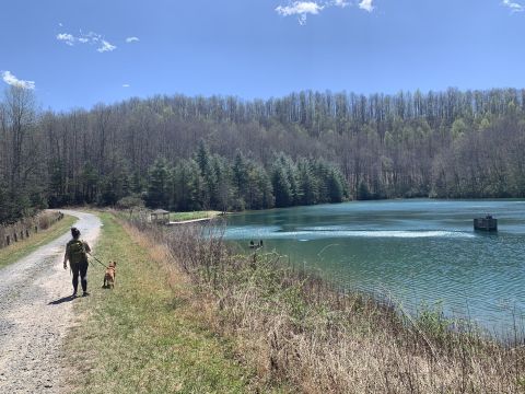 The Awesome Reasonover Creek Trail In North Carolina Will Take You Straight To An Old Airport