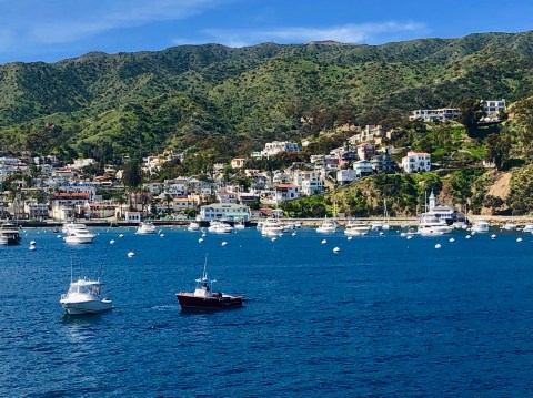 Just An Hour From Dana Point, Catalina Island Is The Perfect Southern California Day Trip Destination