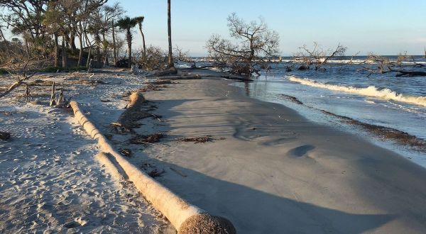 The Must-Visit Beach In South Carolina That Has Its Own Scenic 1-Mile Trail Hike