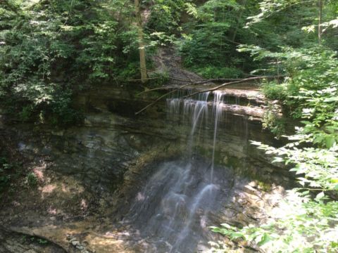 There Are Endless Things To Do In Indiana's Salamonie River State Forest