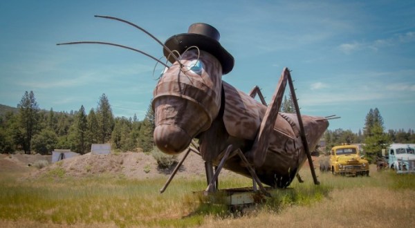 There Are Giant Whimsical Creatures Hiding On Cassel Road In Northern California Just Like Something Out Of A Storybook