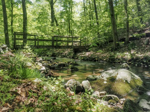 Explore The Otter Hole Trail At Norvin Green In New Jersey, Then Get A Bird's Eye View From Wyanokie High Point