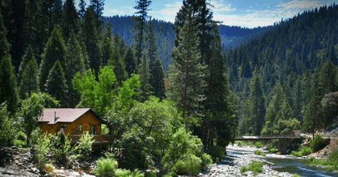 The Whole Family Will Love A Visit To This Adorable Riverside Cabin Resort In California