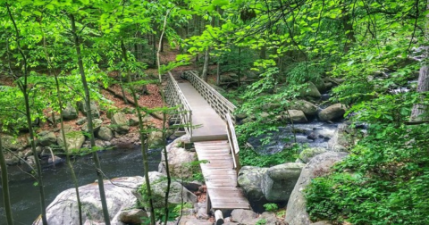 The Springtime Views On These 7 Hikes In New York Are Spectacular