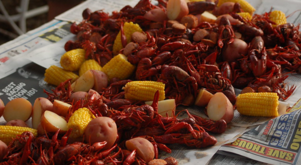 Only In Louisiana Will You Hear These 12 Unique Cajun Phrases