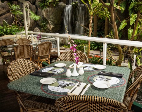 Dine While Overlooking Waterfalls At Albert’s Restaurant In Southern California