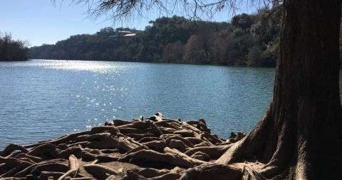 8 Easy And Beautiful Spring Hikes Everyone In Austin Will Love