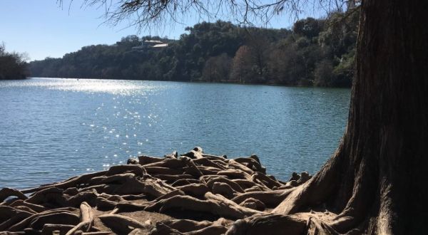 8 Easy And Beautiful Spring Hikes Everyone In Austin Will Love