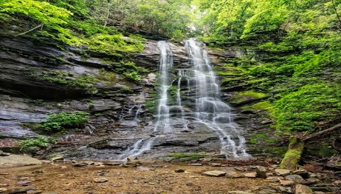 Take a Magical Waterfall Hike In Tennessee To Sill Branch Falls, If You Can Find It