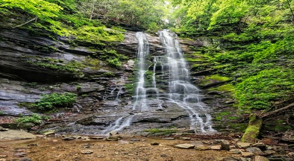 Take a Magical Waterfall Hike In Tennessee To Sill Branch Falls, If You Can Find It