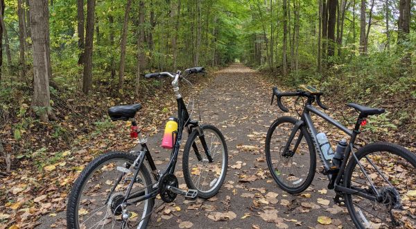 Hike Through 4 Public Parks On The Delightful Pumpkinvine Nature Trail In Indiana