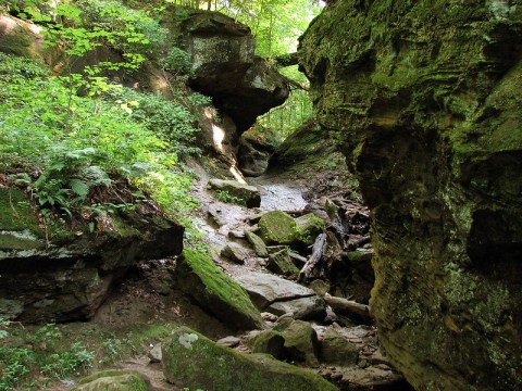 Shades State Park Is An Otherworldly Destination In West-Central Indiana