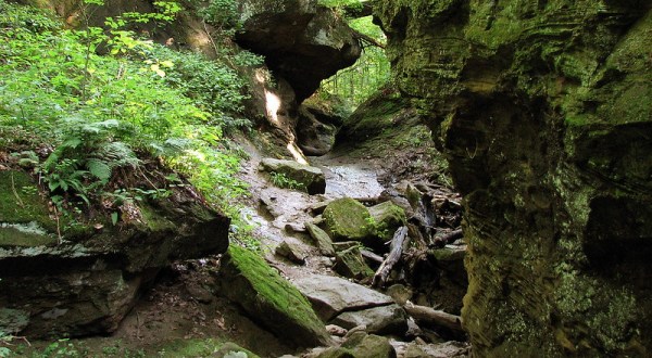 Shades State Park Is An Otherworldly Destination In West-Central Indiana