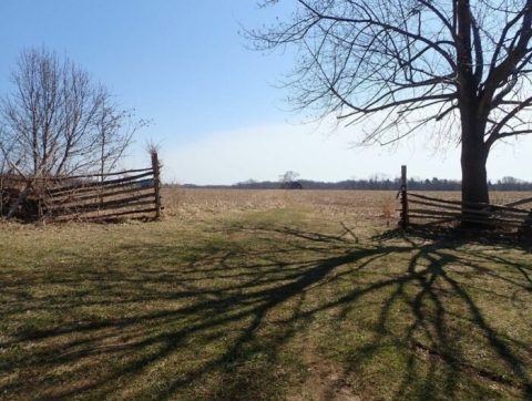 Explore A New Side Of Englishtown With The Monmouth Battlefield Trail, A Special Historic Trail In New Jersey