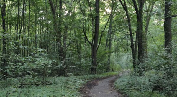 This Hike Through Detroit’s Pretty Little Palmer Park Is Short And Sweet