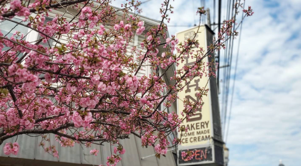 Four Generations Of A Kentucky Family Have Owned And Operated The Legendary Plehn’s Bakery